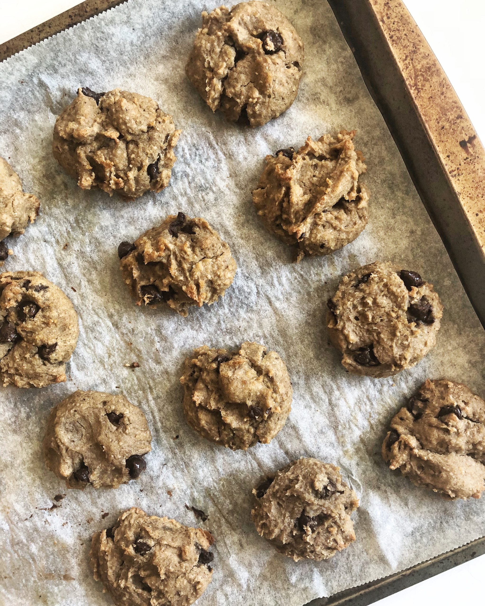 Flourless-Peanut-Butter-and-Chocolate-Chip-Cookies